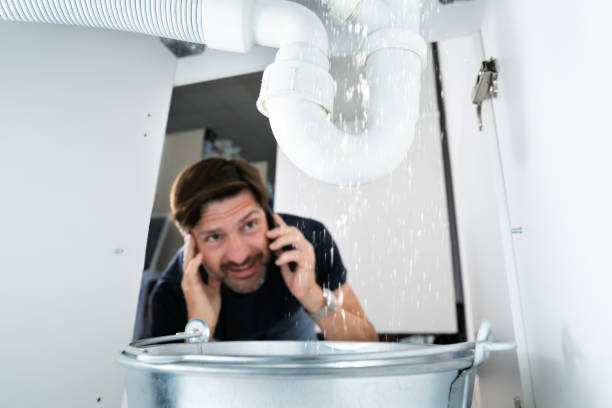 Best Commercial Plumbing Services  in Manhattan, IL